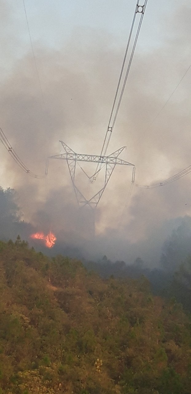 Đường dây 500kV đoạn Đà Nẵng – Hà Tĩnh bị sự cố do cháy rừng  - Ảnh 2.