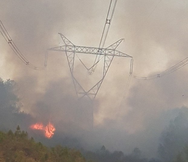 Đường dây 500kV bị sự cố do cháy rừng: Đã đóng điện trở lại  - Ảnh 1.