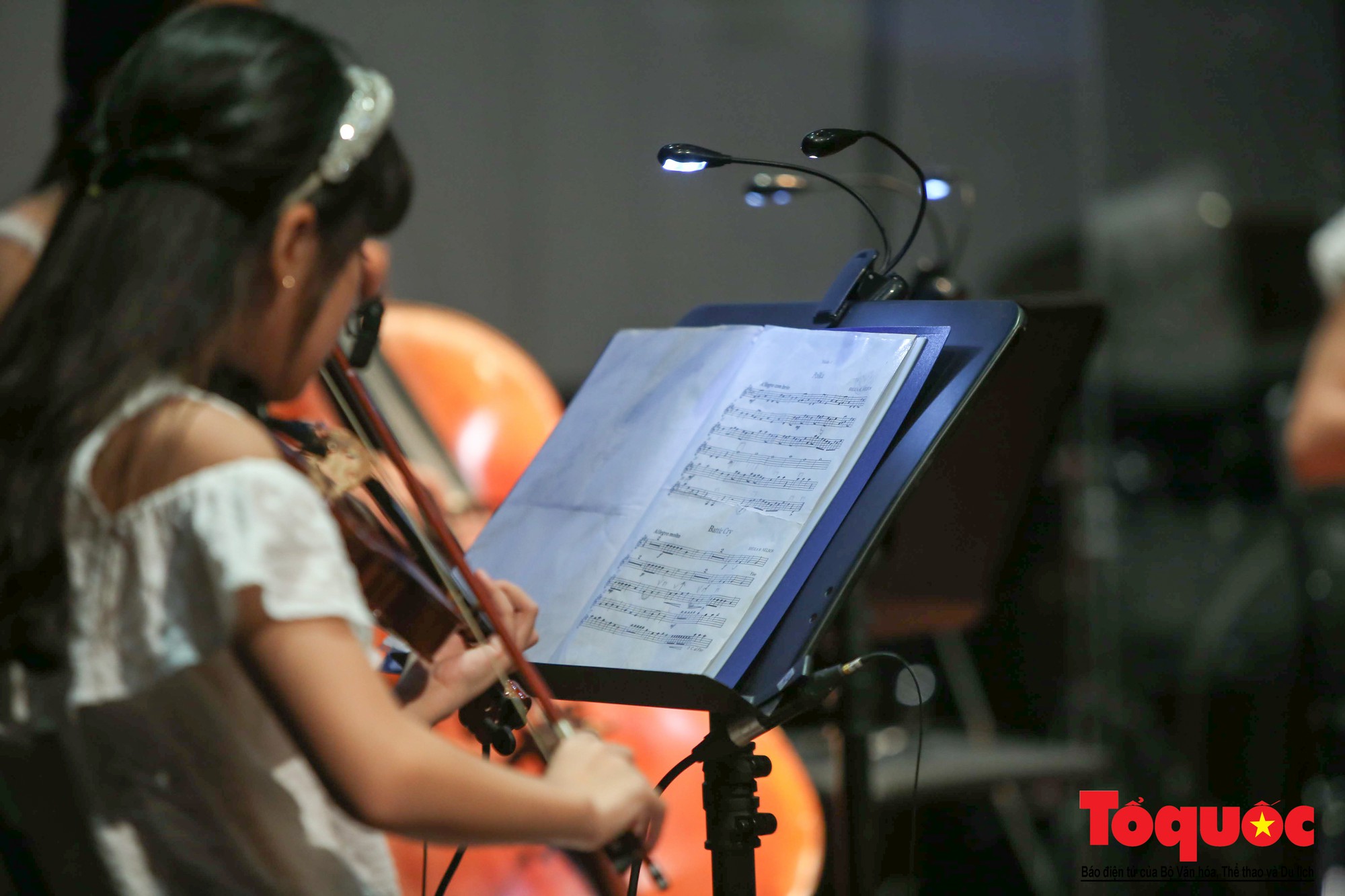 Dàn nhạc giao hưởng nhí đầu tiên của Việt Nam biểu diễn gây quỹ từ thiện (4)