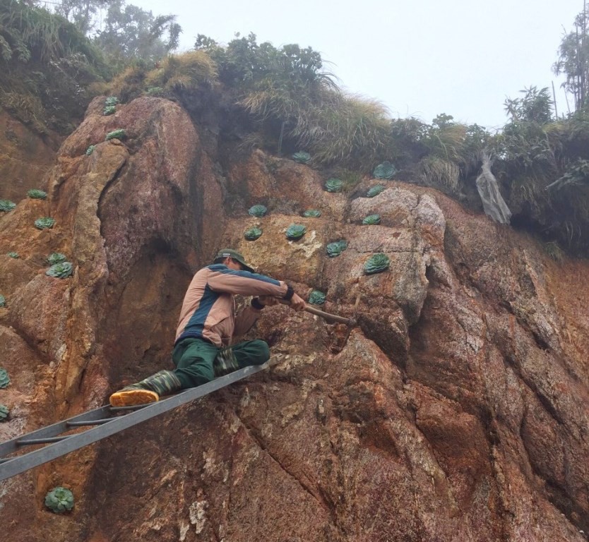 “Thêu hoa” lên đỉnh trời Hoàng Liên Sơn - Ảnh 2.