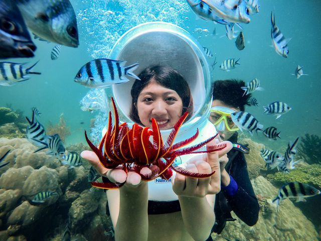5 điểm ngắm san hô đẹp nhất Việt Nam, nhất định phải khám phá một lần trong đời - Ảnh 2.