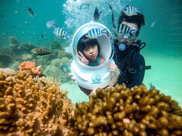 5 điểm ngắm san hô đẹp nhất Việt Nam, nhất định phải khám phá một lần trong đời - Ảnh 3.