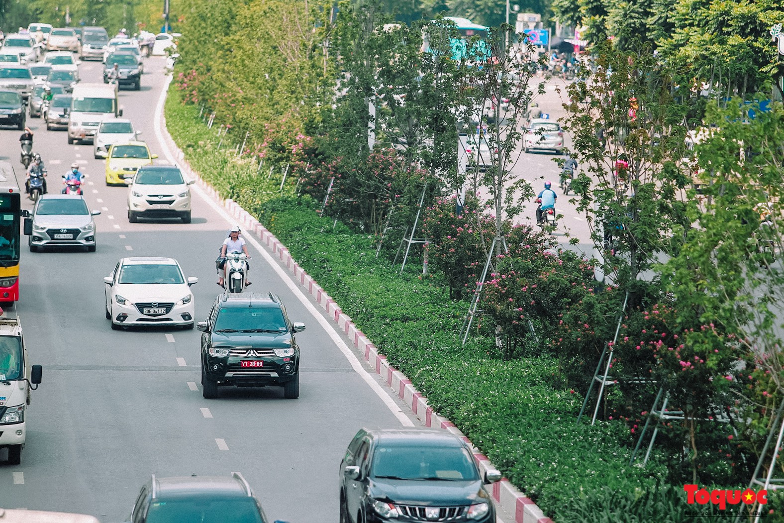Ngắm con đường hoa tường vi dài cả cây số ở Hà Nội (9)