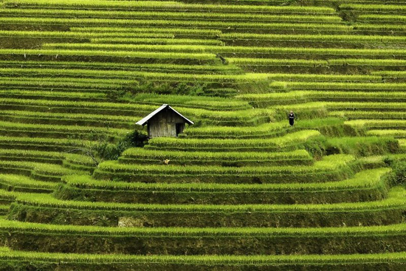 Việt Nam tuyệt đẹp qua ống kính nhiếp ảnh gia nước ngoài - Ảnh 2.