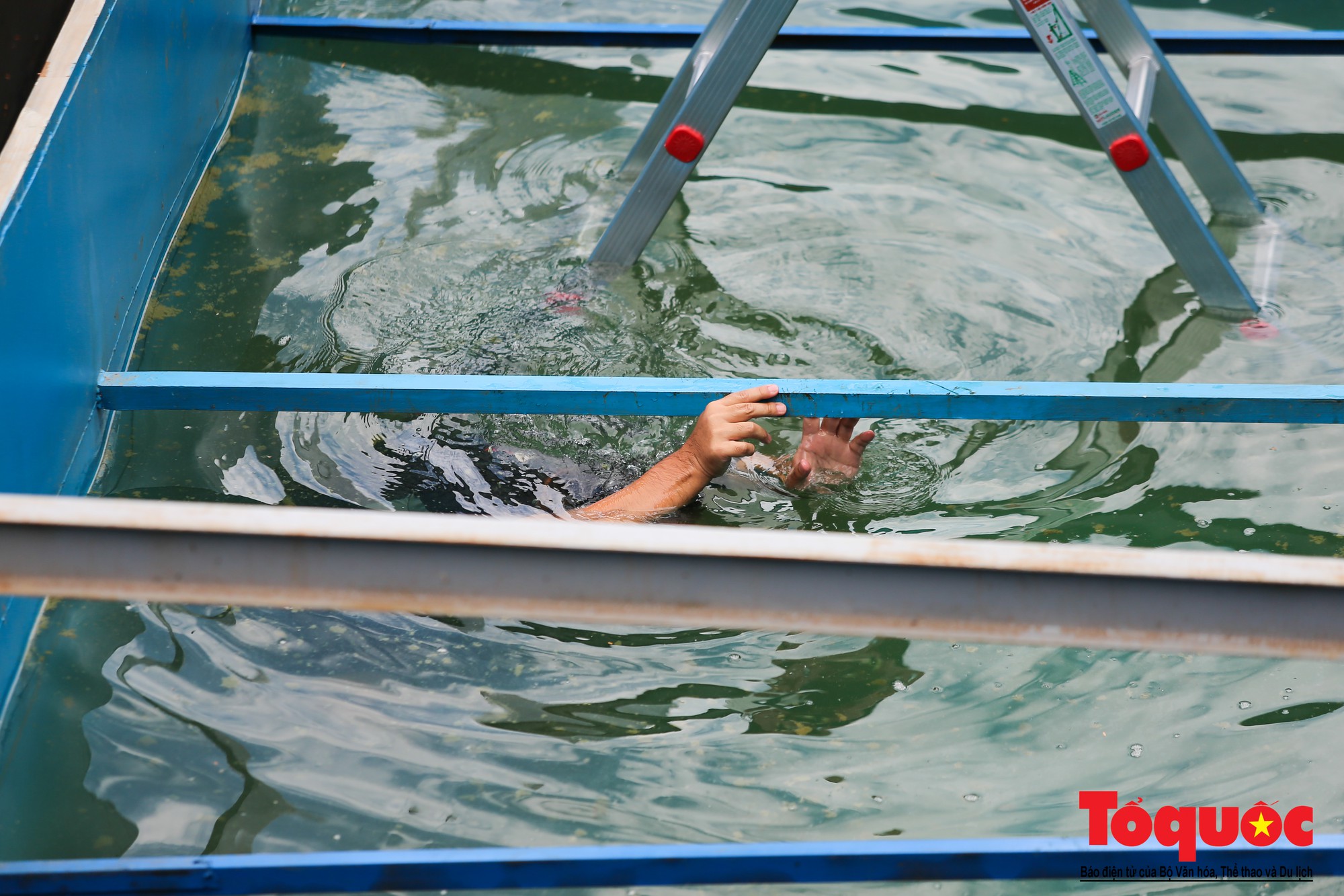 Ngỡ ngàng chuyên gia Nhật Bản bơi lặn, tắm dưới sông Tô Lịch  (11)