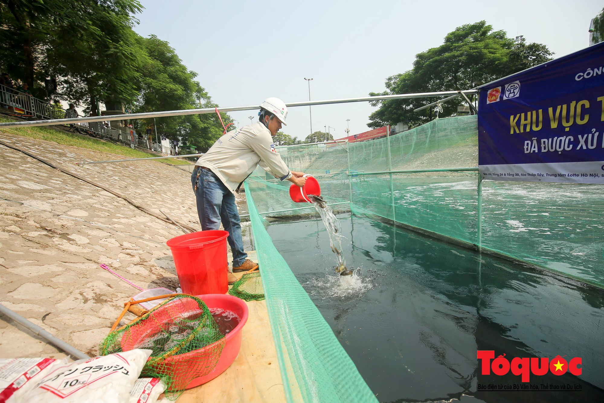 Hà Nội Thả thử nghiệm gần 100 con cá Koi Nhật Bản xuống sông tô lịch và Hồ Tây (9)