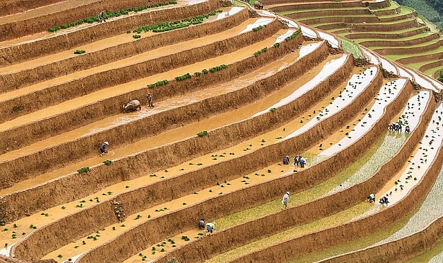 Điểm danh 4 bức ảnh về Việt Nam lọt top những khoảnh khắc đẹp nhất thế giới 2019 - Ảnh 4. Điểm danh 4 bức ảnh về Việt Nam lọt top những khoảnh khắc đẹp nhất thế giới 2019 - Ảnh 4.