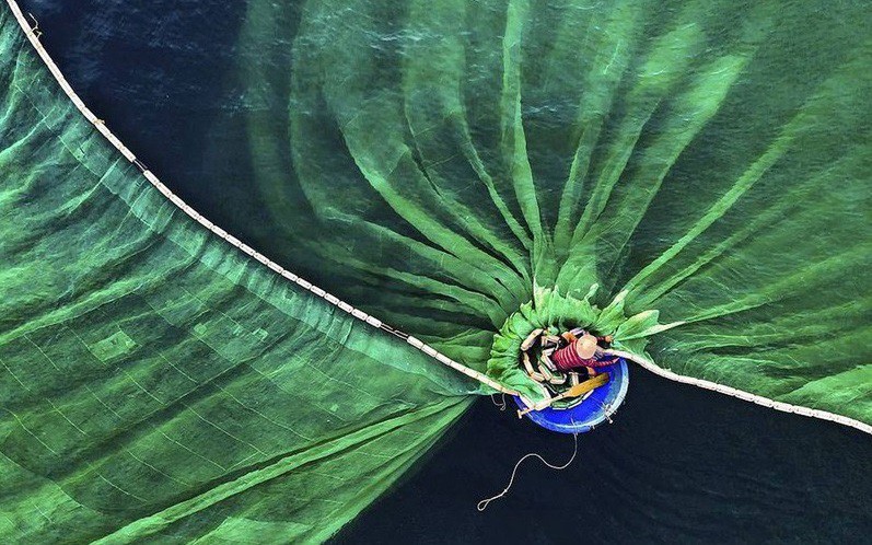 Tác phẩm của nhiếp ảnh gia Việt đoạt giải Nhất Cuộc thi ảnh Bảo tồn thiên nhiên thế giới 2019
