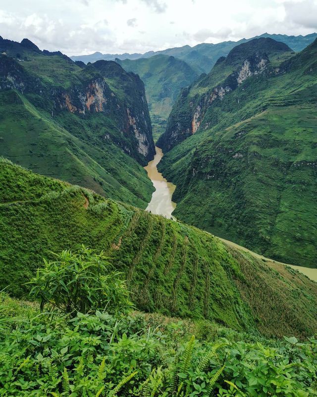Sửng sốt trước vẻ đẹp của hẻm vực sâu nhất Đông Nam Á ở Hà Giang - Ảnh 6. Sửng sốt trước vẻ đẹp của hẻm vực sâu nhất Đông Nam Á ở Hà Giang - Ảnh 6.