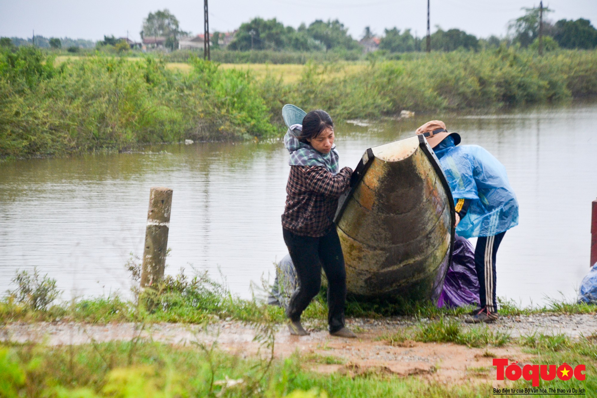 Gặt lúa chạy lũ-18