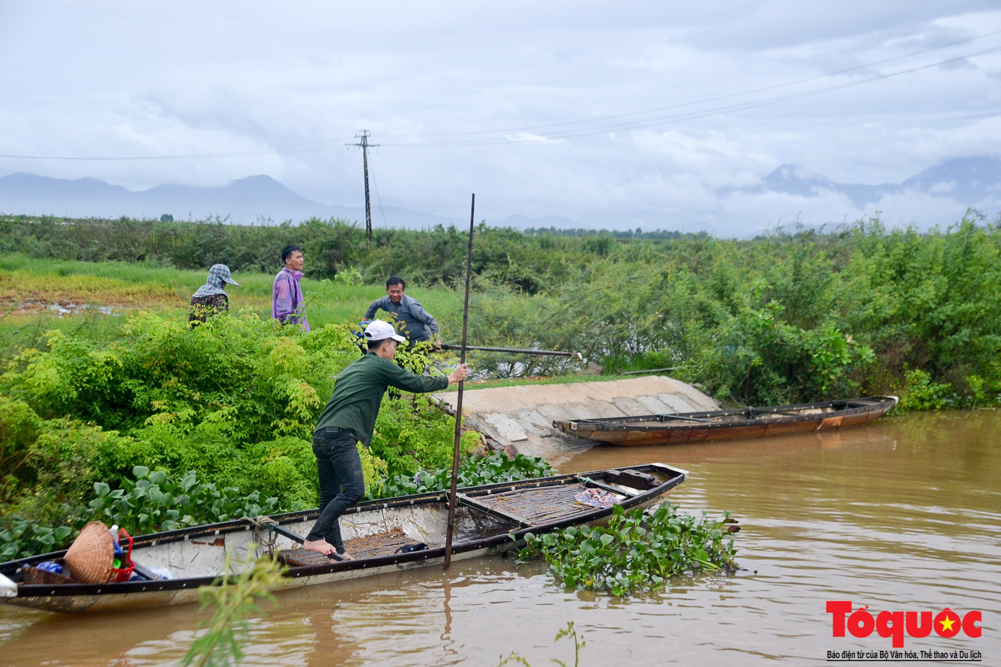 Gặt lúa chạy lũ-19