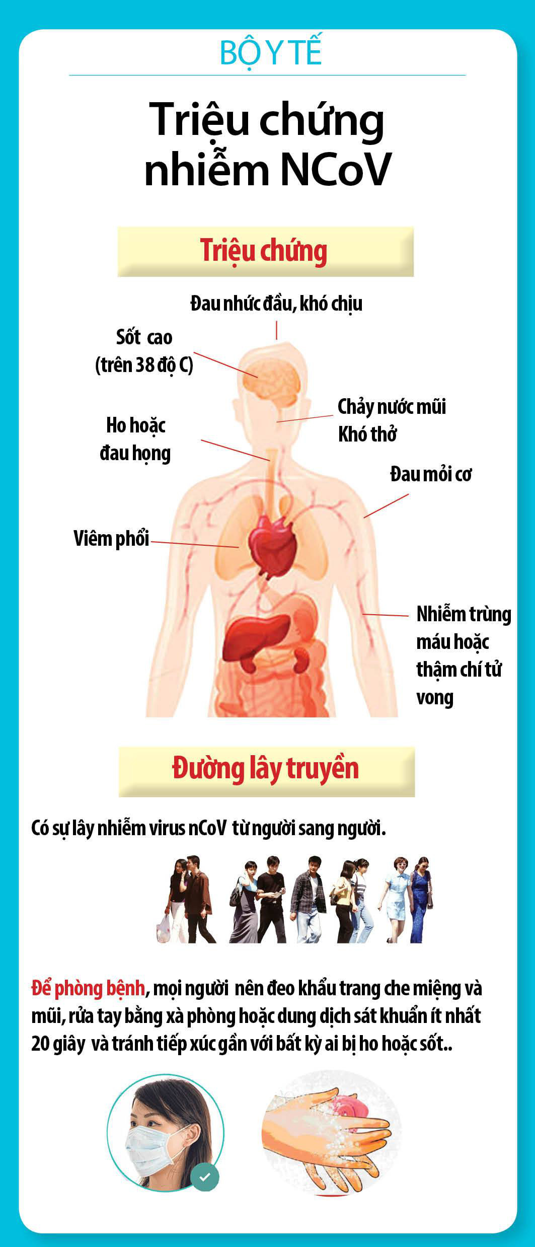 Tin mới nhất dịch corona (nCoV) hôm nay 31/01/2020 tại Việt Nam - Ảnh 1.