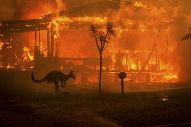  Thủ tướng Nguyễn Xuân Phúc gửi điện thăm hỏi về cháy rừng tại Australia - Ảnh 1.