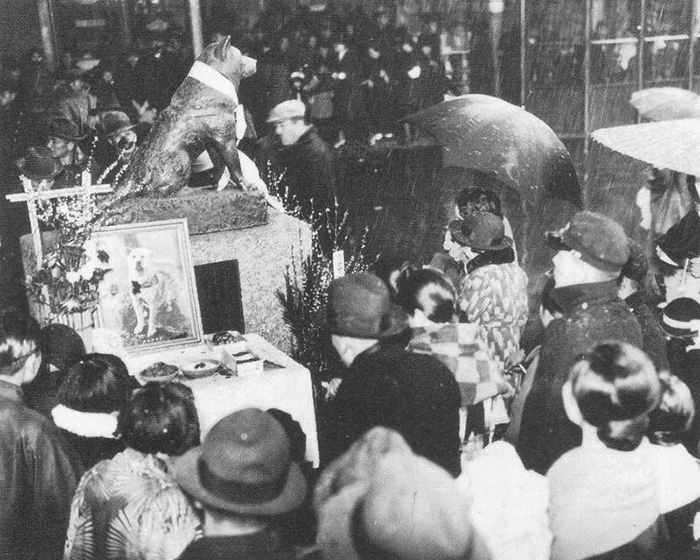 Những bức ảnh hiếm hoi về Hachikō - biểu tượng trung thành của người Nhật khiến người xem cảm tưởng câu chuyện đau lòng ấy đang diễn ra trước mắt - Ảnh 9.