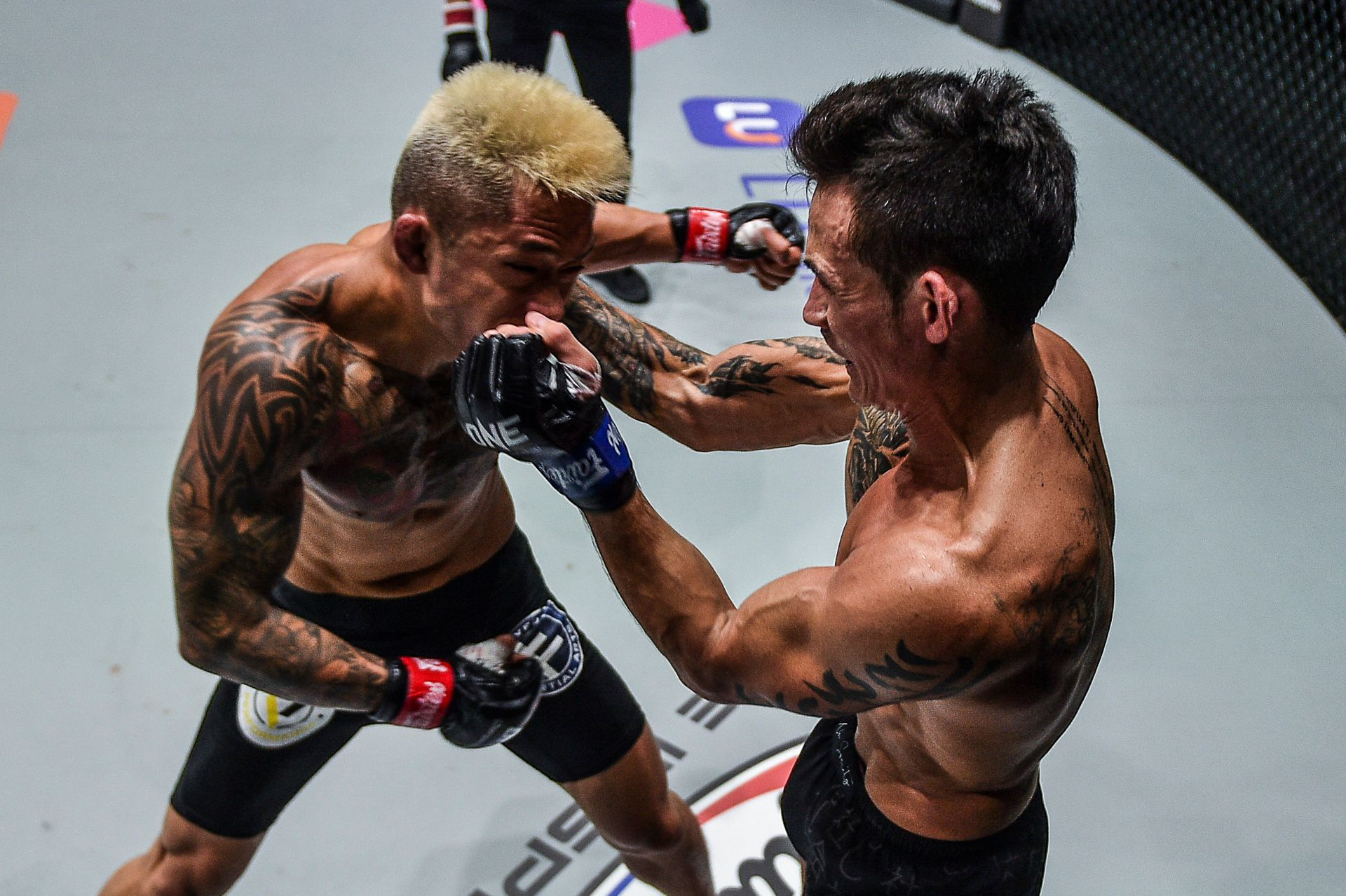 Chùm ảnh: Thành Lê hạ knock-out Martin Nguyễn, trở thành nhà vua mới tại hạng lông của ONE Championship - Ảnh 2.