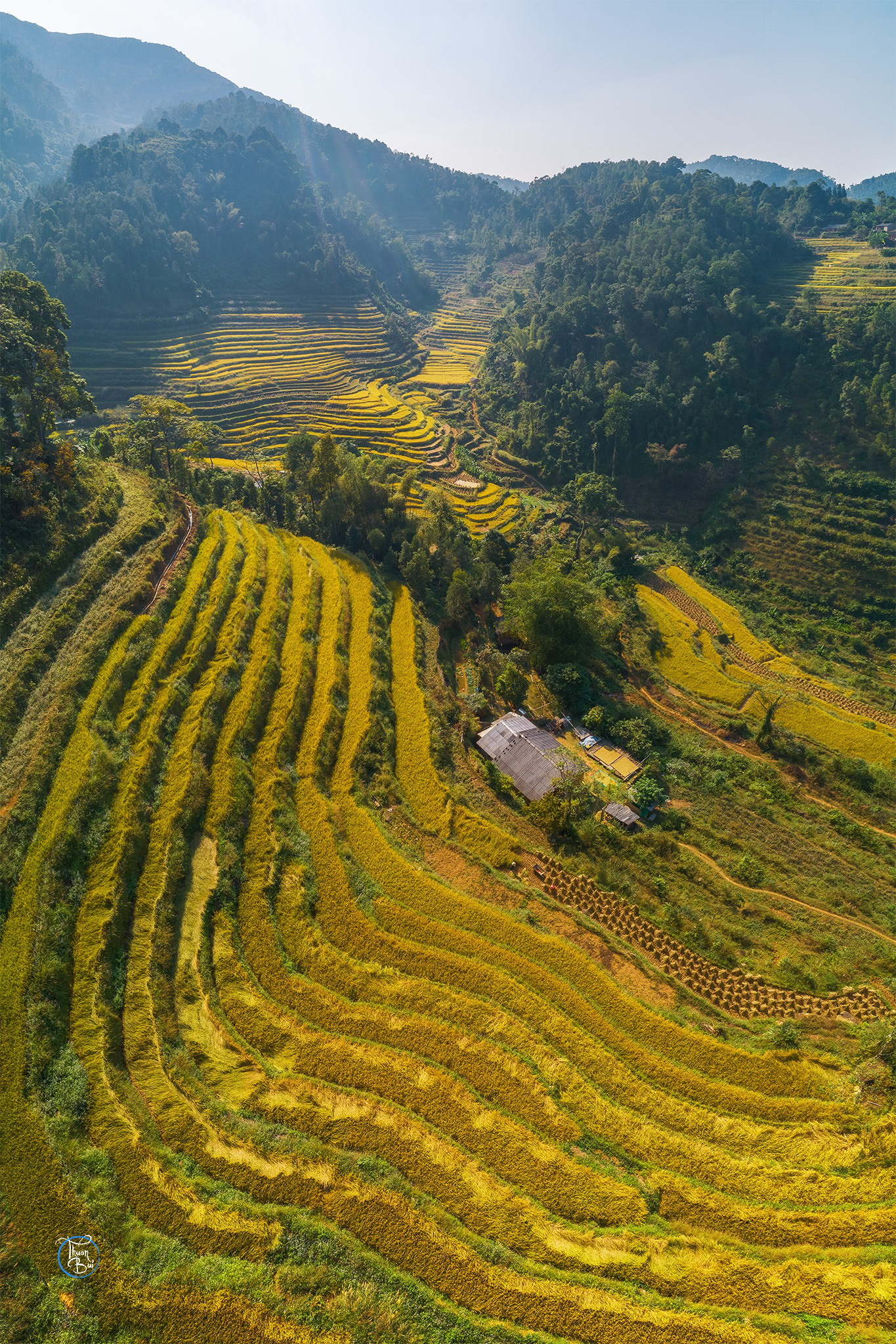 Thêm một điểm du lịch được nhuộm vàng mùa lúa chín, lên lịch hò hẹn về ...