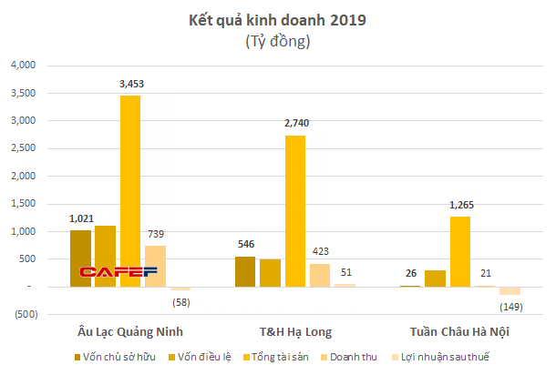 Khối tài sản khiêm tốn và kết quả kinh doanh kém ấn tượng của chúa đảo Tuần Châu - Ảnh 2.