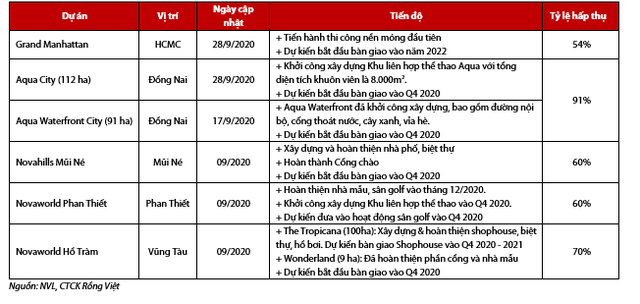 Sở hữu quỹ đất lớn chỉ sau Vingroup, Novaland đang kinh doanh ra sao? - Ảnh 1.