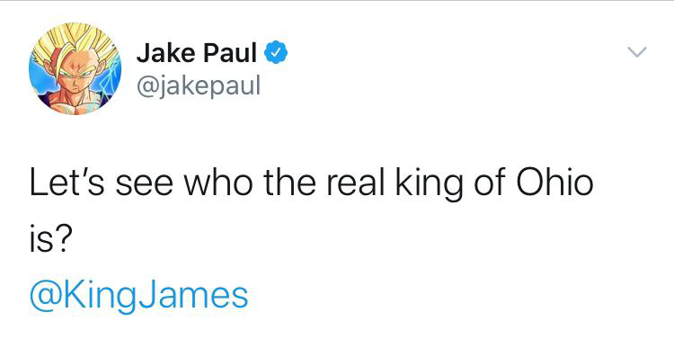 Youtuber Jake Paul thách thức LeBron James thượng đài sau khi hạ đo ván cựu sao NBA - Ảnh 3.