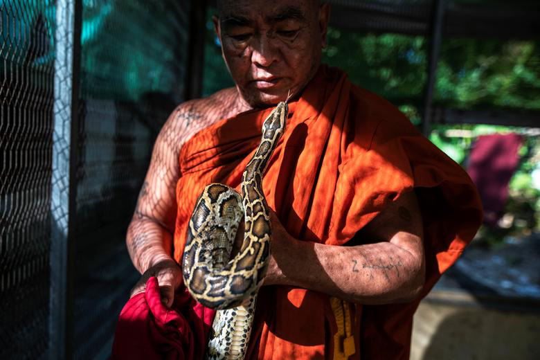 7 ngày qua ảnh: Nhà sư chơi với trăn khổng lồ trong tu viện ở Myanmar - Ảnh 3.