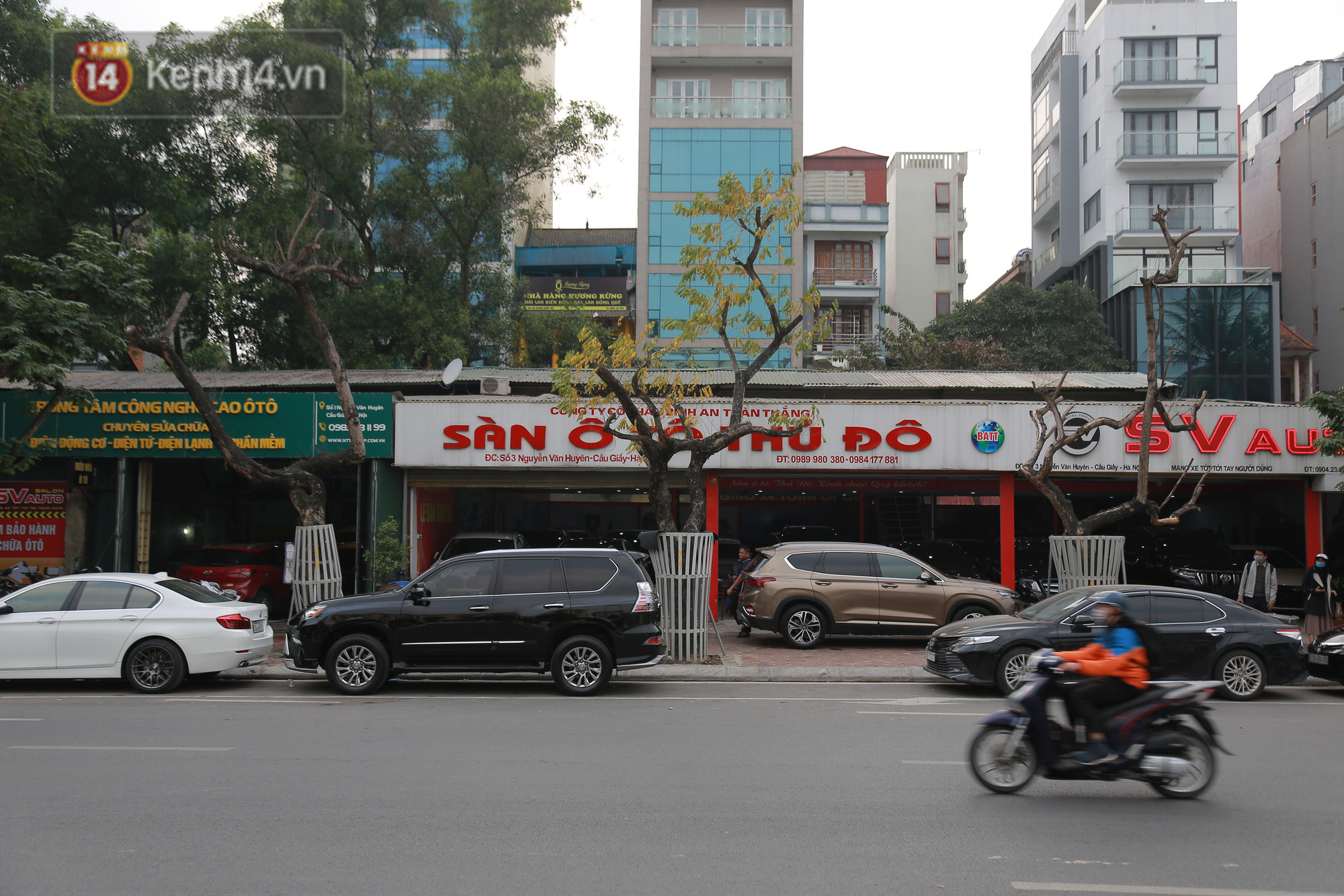 Những cây sưa đỏ mang giáp sắt, lắp camera theo dõi đã chết khô: Người Hà Nội xót xa, lo lắng - Ảnh 2.