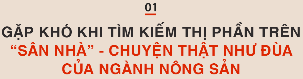 Tiếp sức giúp nông sản Việt gia tăng sức cạnh tranh trên thị trường nội địa - Khó hay dễ? - Ảnh 1.