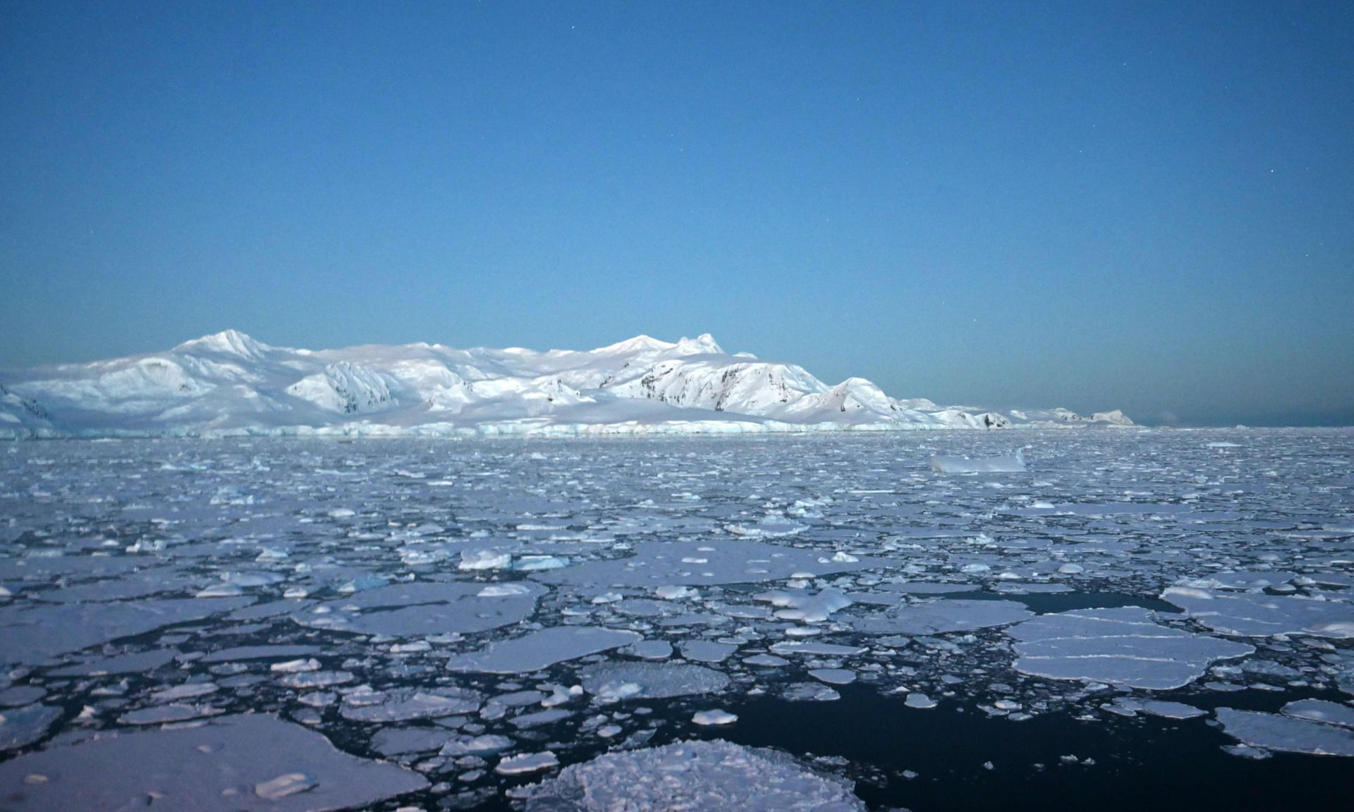 Dịch viêm phổi bùng phát, Nam Cực nóng 20 độ, 400 tỷ con châu chấu &quot;xâm lược&quot;: Trái Đất của chúng ta hiện tại có đang ổn không? - Ảnh 1.