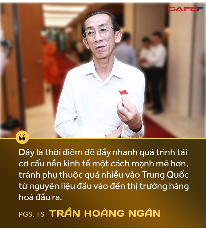 PGS.TS. Trần Hoàng Ngân: Dịch Covid-19 là cơ hội để Việt Nam đẩy mạnh tái cơ cấu toàn bộ nền kinh tế và củng cố niềm tin cho nhà đầu tư - Ảnh 4. PGS.TS. Trần Hoàng Ngân: Dịch Covid-19 là cơ hội để Việt Nam đẩy mạnh tái cơ cấu toàn bộ nền kinh tế và củng cố niềm tin cho nhà đầu tư - Ảnh 4.