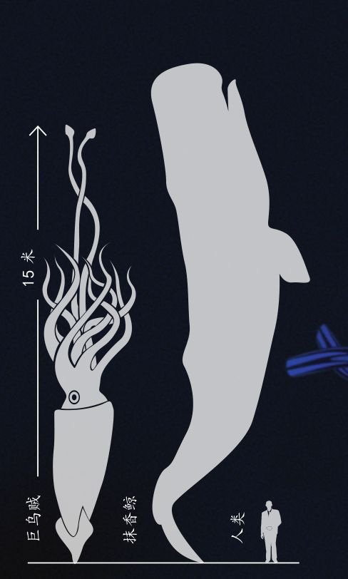 Quỷ khổng lồ Biển Bắc: Sinh vật có cùng kích thước với cá voi xanh có thể thực sự tồn tại ? - Ảnh 7.