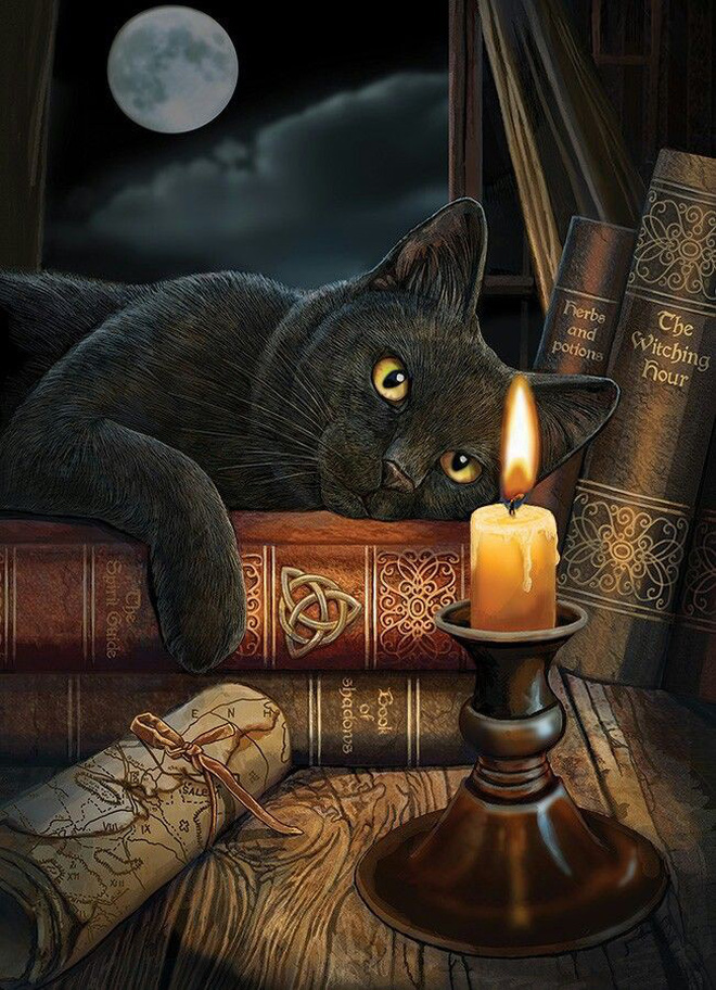Các truyền thuyết kỳ quái về mèo đen - Ảnh 4.