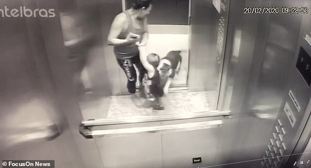 Khoảnh khắc ám ảnh: Chó lao vào thang máy tấn công bé trai 18 tháng tuổi, bảo mẫu đi cùng trở tay không kịp - Ảnh 2.