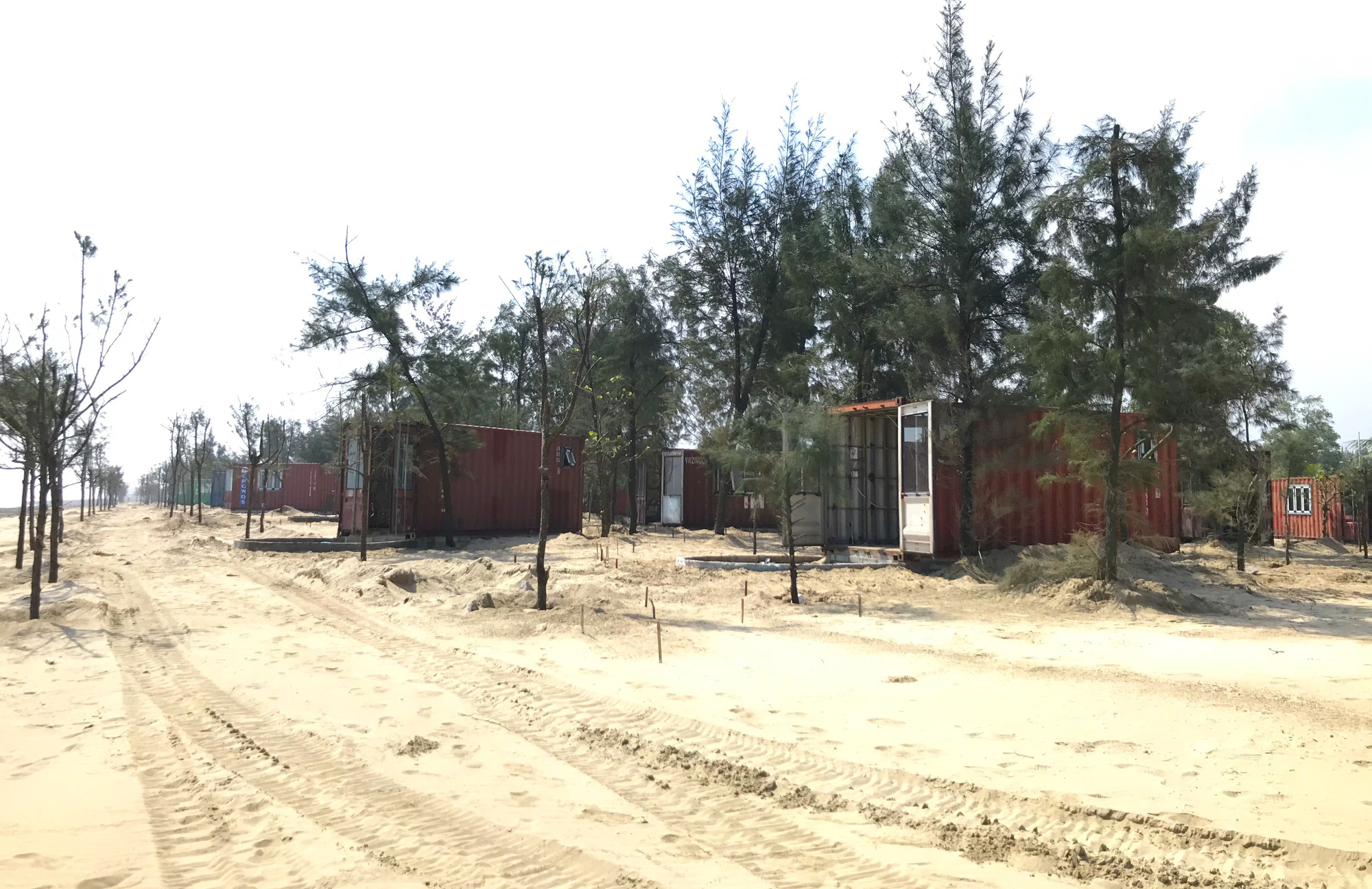 Cận cảnh cả trăm nhà bằng container trái phép trong rừng phòng hộ ven biển Xuân Thành - Ảnh 4.