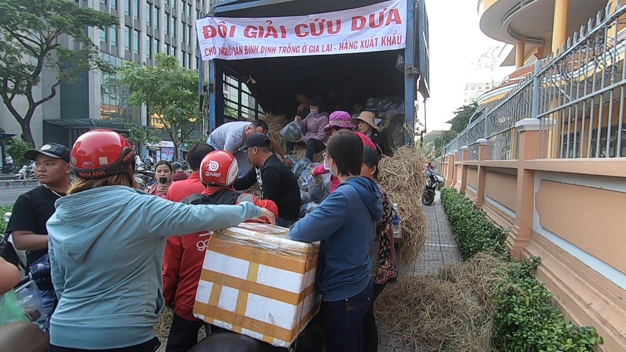 Giải cứu nông sản: Người dân Sài Gòn háo hức nhận dưa hấu miễn phí bằng lời cảm ơn - Ảnh 13.