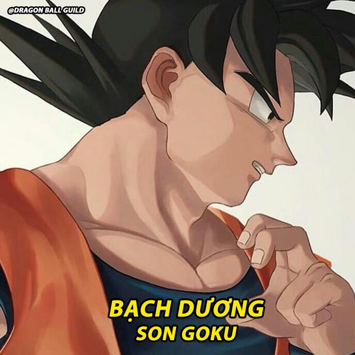 Bạn là ai trong Dragon Ball theo tính cách của 12 cung hoàng đạo? - Ảnh 1.