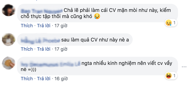 Cộng đồng mạng thán phục, bó tay với màn viết CV xin việc của anh chàng thật nhất quả đất: sở thích ngắm mỹ nữ, đánh nhau sứt đầu mẻ trán - Ảnh 5.