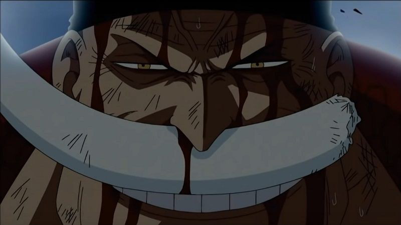 One Piece: Thất Vũ Hải giải tán và sự suy thoái của 3 đại thế lực cân bằng thế giới có thể khiến chiến tranh nổ ra - Ảnh 5.