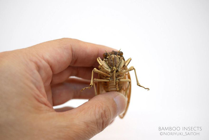 Chiêm ngưỡng côn trùng tre tinh xảo y như thật, người xem chỉ biết thán phục bàn tay tài hoa của nghệ sĩ Nhật - Ảnh 1.