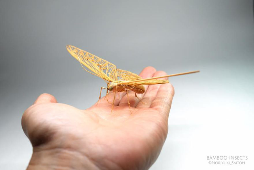 Chiêm ngưỡng côn trùng tre tinh xảo y như thật, người xem chỉ biết thán phục bàn tay tài hoa của nghệ sĩ Nhật - Ảnh 2.