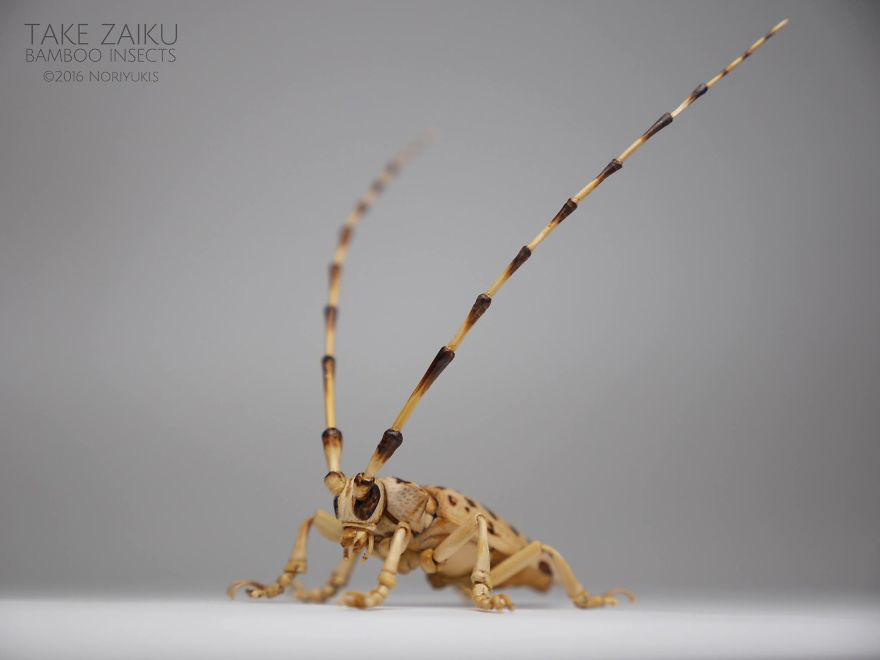 Chiêm ngưỡng côn trùng tre tinh xảo y như thật, người xem chỉ biết thán phục bàn tay tài hoa của nghệ sĩ Nhật - Ảnh 11.