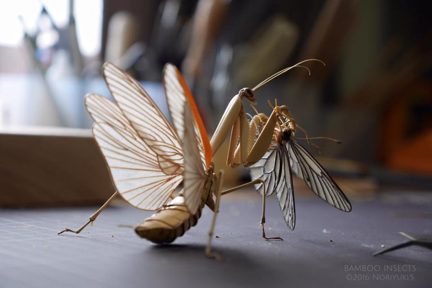 Chiêm ngưỡng côn trùng tre tinh xảo y như thật, người xem chỉ biết thán phục bàn tay tài hoa của nghệ sĩ Nhật - Ảnh 3.