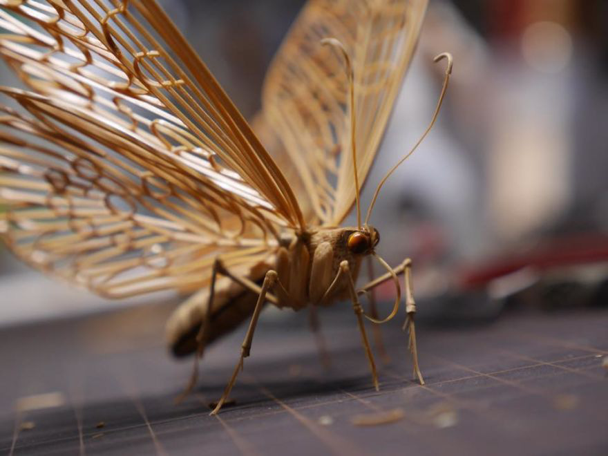 Chiêm ngưỡng côn trùng tre tinh xảo y như thật, người xem chỉ biết thán phục bàn tay tài hoa của nghệ sĩ Nhật - Ảnh 8.