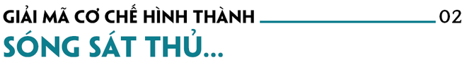 Bí ẩn hung thần đại dương thách thức giới khoa học: Xé toạc 22 tàu sân bay, giết hơn 500 người - Ảnh 4. Bí ẩn hung thần đại dương thách thức giới khoa học: Xé toạc 22 tàu sân bay, giết hơn 500 người - Ảnh 4.