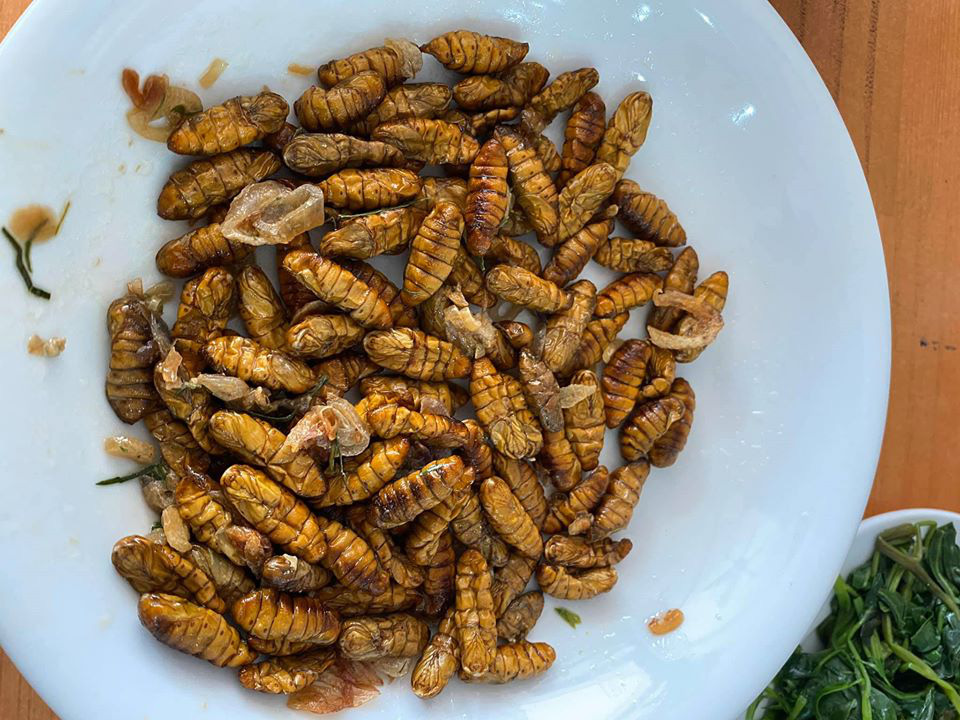 Mê mẩn một món đặc sản có nguồn gốc từ côn trùng ở Việt Nam, anh chàng nước ngoài đăng đàn hỏi tên để mua lại cho bằng được - Ảnh 2.