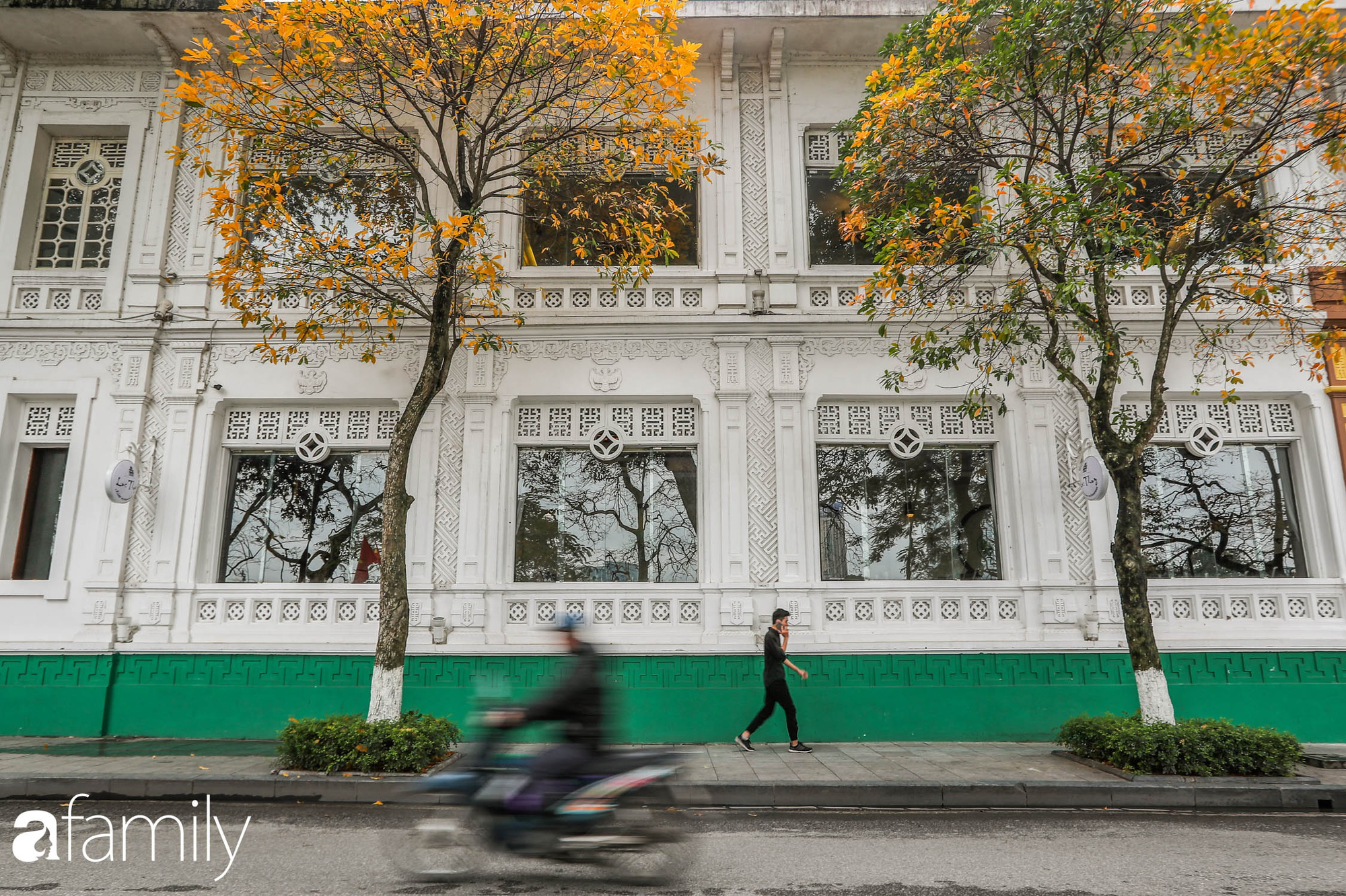 Hà Nội tháng Ba mà cứ ngỡ thu về, bởi vừa có nắng vàng dịu ngọt, vừa có thảm lá vàng "đi lạc" sau giấc ngủ đông - Ảnh 5. Hà Nội tháng Ba mà cứ ngỡ thu về, bởi vừa có nắng vàng dịu ngọt, vừa có thảm lá vàng "đi lạc" sau giấc ngủ đông - Ảnh 5.