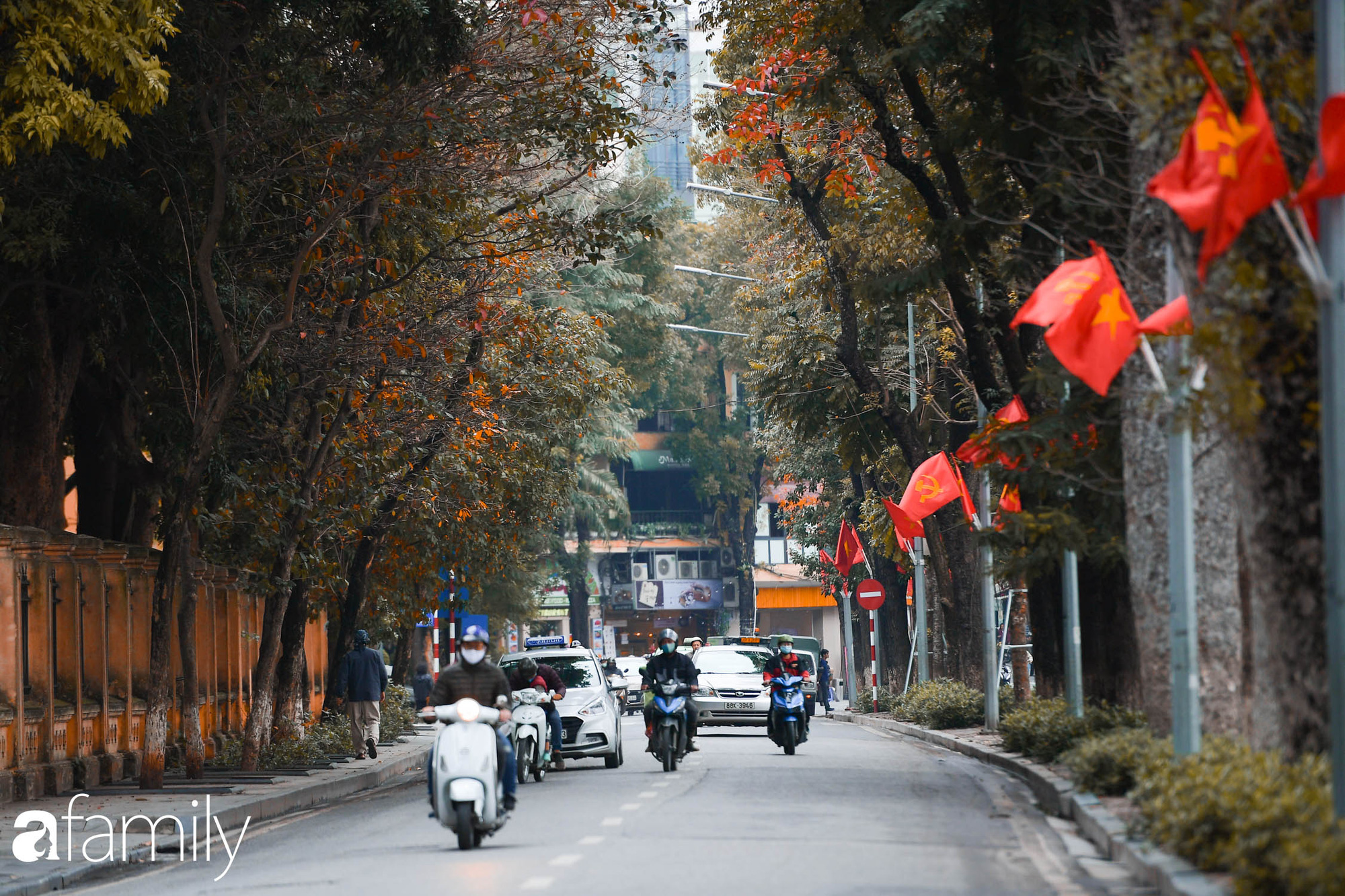 Hà Nội tháng Ba mà cứ ngỡ thu về, bởi vừa có nắng vàng dịu ngọt, vừa có thảm lá vàng "đi lạc" sau giấc ngủ đông - Ảnh 12. Hà Nội tháng Ba mà cứ ngỡ thu về, bởi vừa có nắng vàng dịu ngọt, vừa có thảm lá vàng "đi lạc" sau giấc ngủ đông - Ảnh 12.