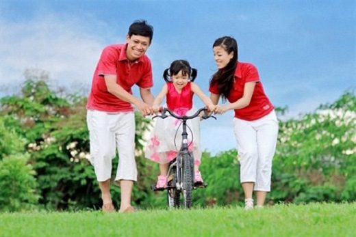 Tuyên truyền, giáo dục đạo đức, lối sống trong gia đình Việt Nam giai đoạn 2010-2020 - Ảnh 1.