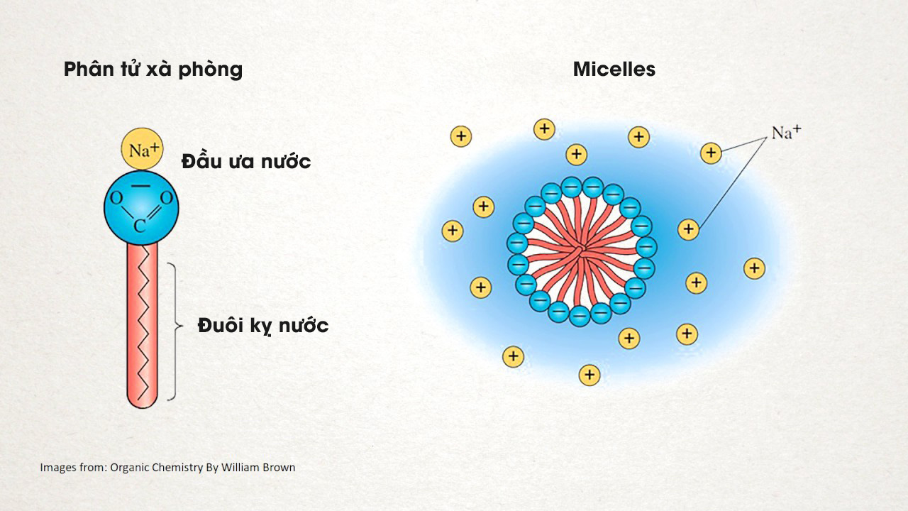 [Infographic] Lịch sử của xà phòng và cách chúng tiêu diệt virus corona - Ảnh 3.