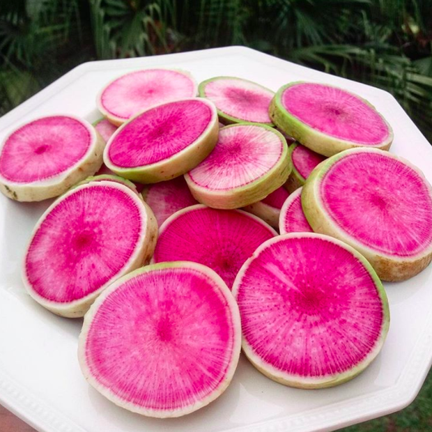 Những loại rau củ kỳ lạ nhất thế giới: Ngô 7 màu, xúp lơ trông như xương rồng - Ảnh 17. Những loại rau củ kỳ lạ nhất thế giới: Ngô 7 màu, xúp lơ trông như xương rồng - Ảnh 17.
