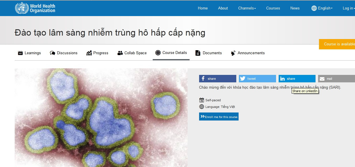 Khóa kèo cá cược nhà cái ngắn của WHO về đào tạo lâm sàng nhiễm trùng hô hấp cấp nặng - Ảnh 1.