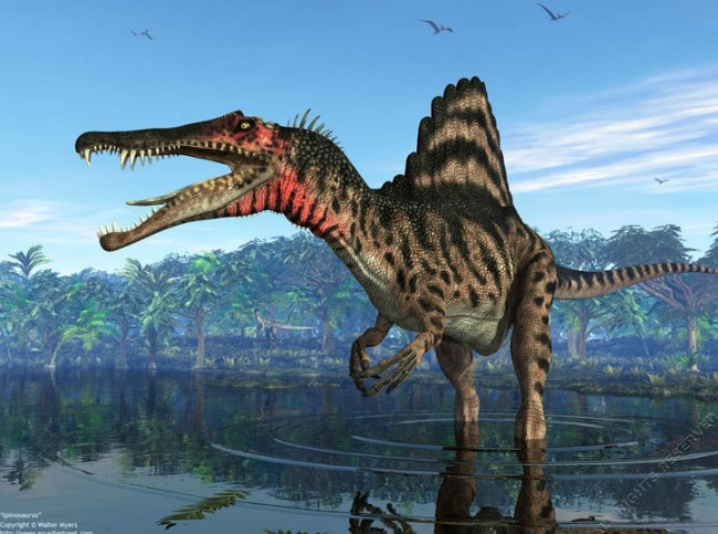 Top 10 loài khủng long ăn thịt nguy hiểm nhất thời tiền sử - Ảnh 12.
